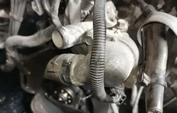 Mitsubishi Colt Engine coolant pipe/hose