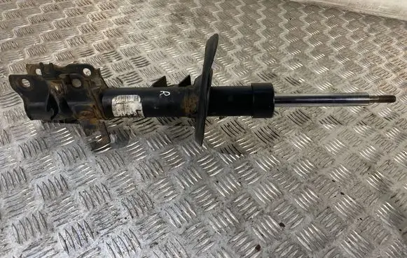 Nissan Qashqai Front shock absorber/damper 54302BR00B