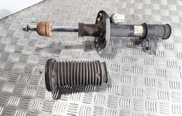 Opel Astra H Front shock absorber/damper 22214604