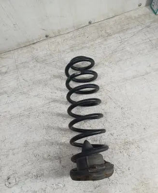 Renault Scenic II - Grand scenic II Rear coil spring