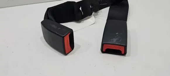BMW X1 E84 Rear seatbelt buckle 7317731