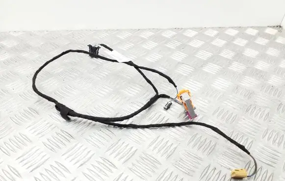 Seat Exeo (3R) Rear door wiring loom 3R0971035R