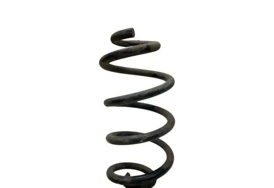 Nissan X-Trail T31 Rear coil spring