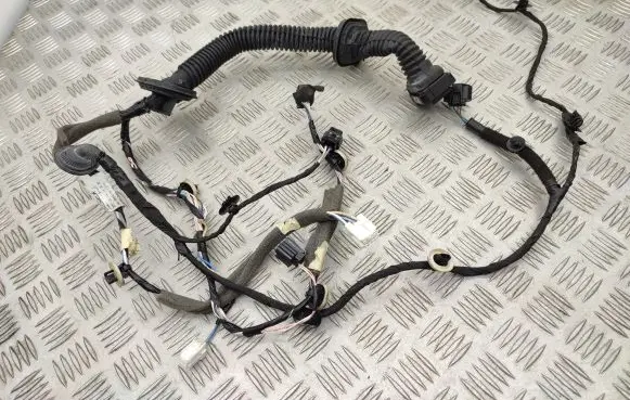 Renault Zoe Front door wiring loom 241258513R