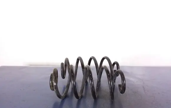 Nissan Juke I F15 Rear coil spring