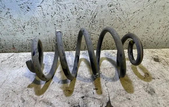 Rear coil spring