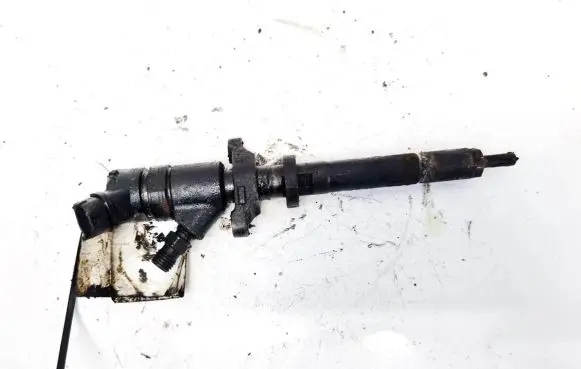 Citroen C4 I Fuel injector 0445110239 606680 0445110239606680