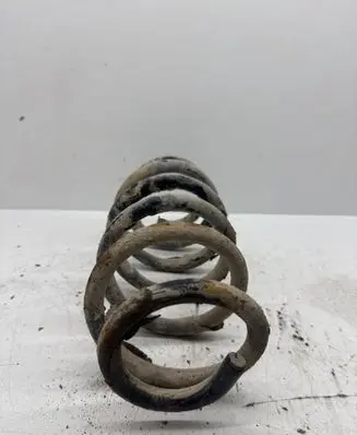 Rear coil spring