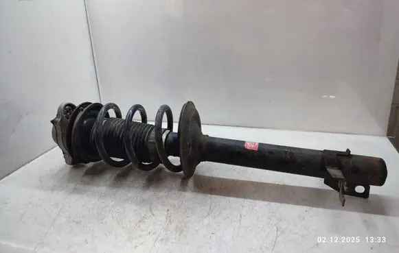 Fiat Ducato Front shock absorber with coil spring