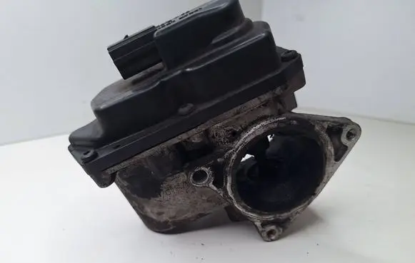 EGR valve