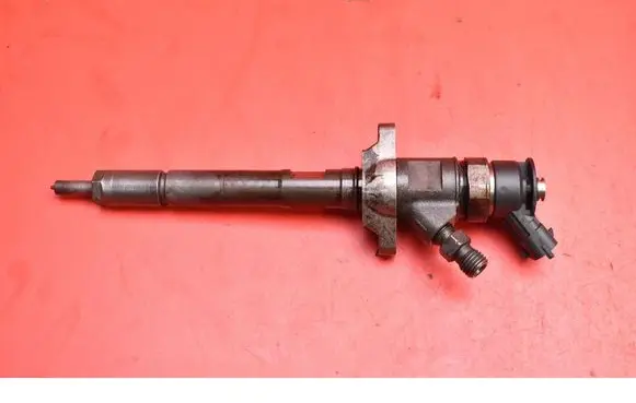 Citroen C5 Fuel injector 0445110297
