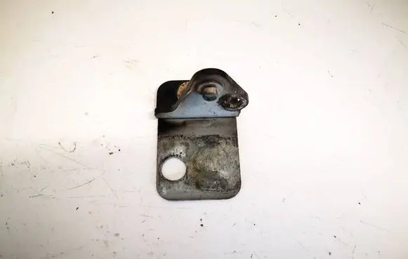 Audi A4 S4 B7 8E 8H Rear door lower hinge