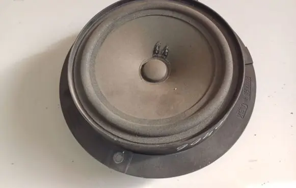 Front door speaker