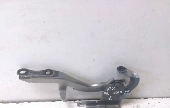 Lexus RX 450H Engine bonnet/hood hinges