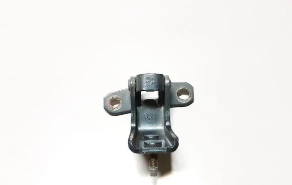 Rear door lower hinge
