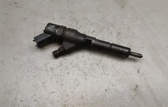 Peugeot 406 Fuel injector 0445110062 9640088780
