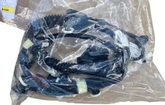 Dacia Sandero III Front door wiring loom 241257506R