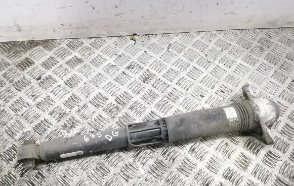 Volkswagen ID.3 Rear shock absorber/damper 1EA512011AD
