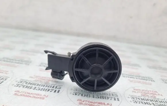 Front door high frequency speaker