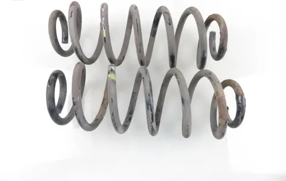 Rear coil spring