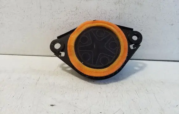 Panel speaker