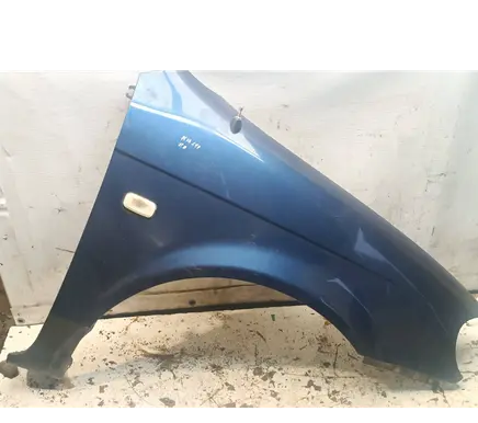 KIA Carnival Fender