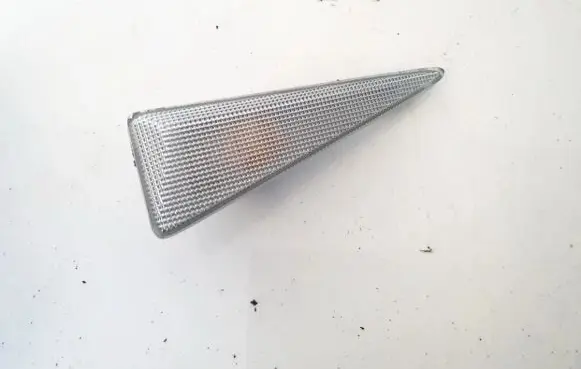 Renault Scenic II - Grand scenic II Front fender indicator light 8200027151