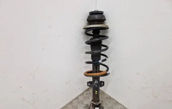 Dacia Duster Front shock absorber with coil spring 8200813791D 12002