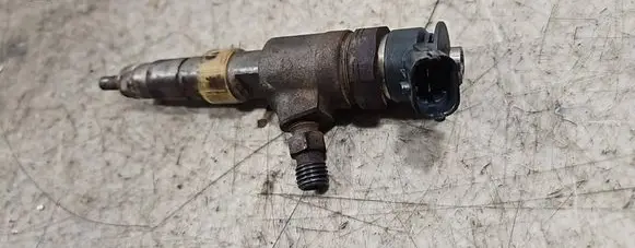 Peugeot 5008 Fuel injector 0445110340