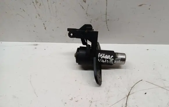Loading door lock