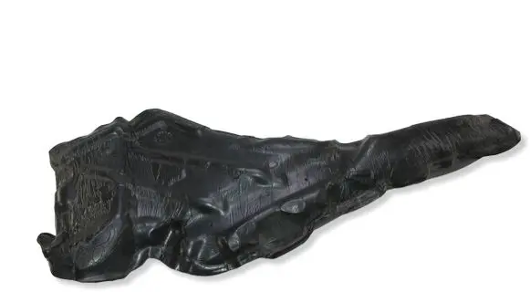 BMW X1 F48 F49 Fender foam support/seal 7398419