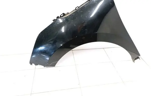 Renault Espace V (RFC) Fender 631016135R