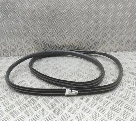 Renault Arkana Rubber seal rear door 769240825R