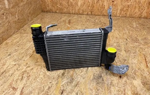 Peugeot Expert Intercooler radiator P9806562180