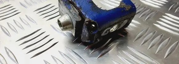 Peugeot 206 Rear door lower hinge