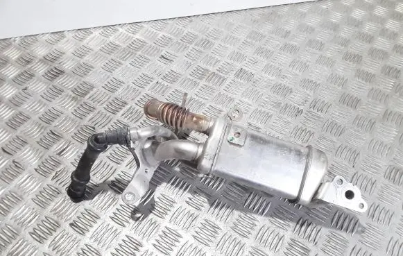 EGR valve cooler