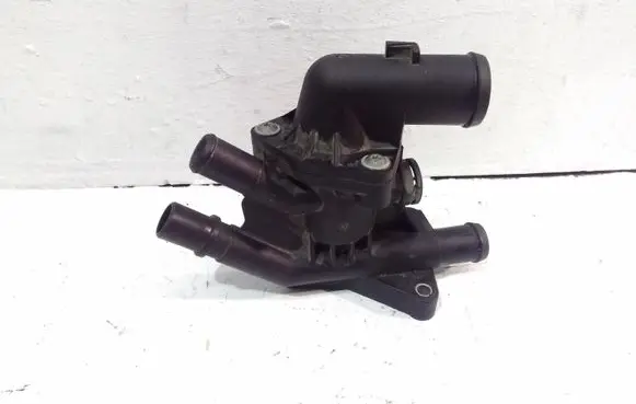 Thermostat/thermostat housing