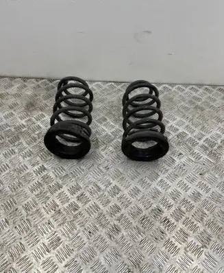 Rear coil spring
