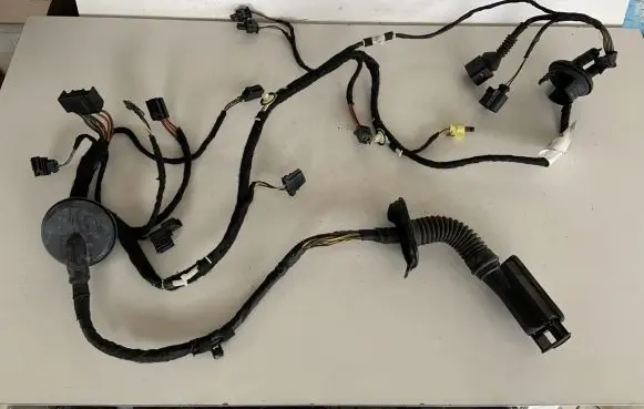Front door wiring loom