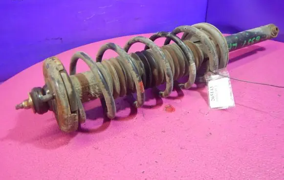 Honda Accord Rear shock absorber with coil spring 