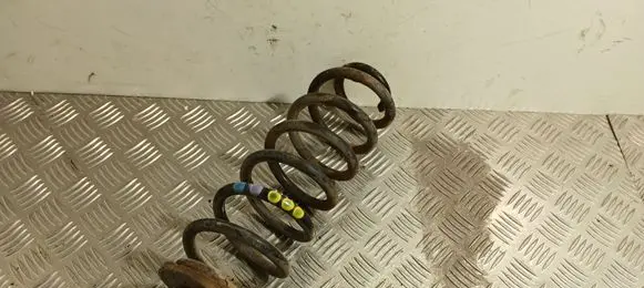 Volkswagen PASSAT B6 Rear coil spring