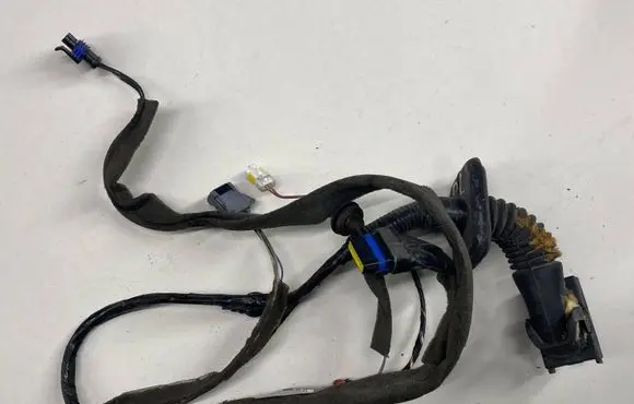 Renault Scenic II - Grand scenic II Front door wiring loom 8200235825