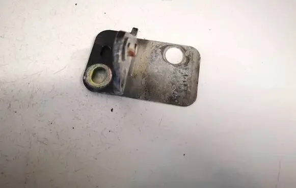Volkswagen Polo IV 9N3 Rear door lower hinge