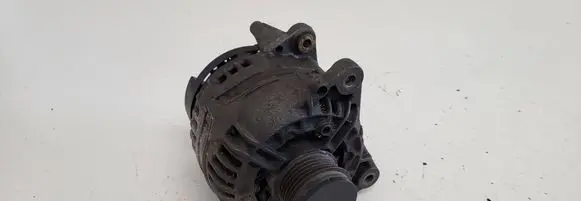 Volkswagen PASSAT B5.5 Generator/alternator 028903031 0124515083