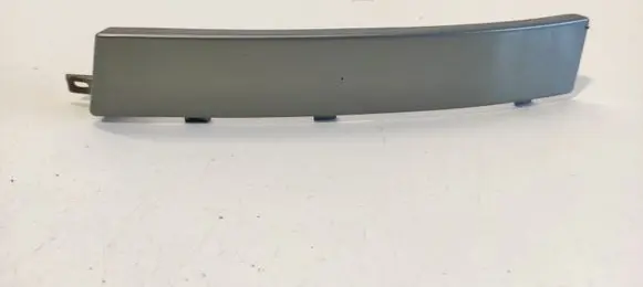 Rear/tail light trim molding