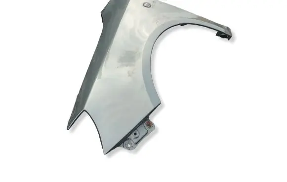 Skoda Roomster (5J) Fender 