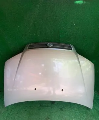 Fiat Punto (188) Engine bonnet/hood