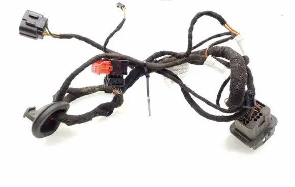 Rear door wiring loom