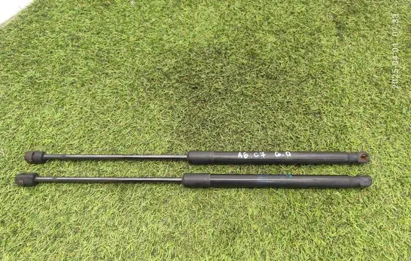 Tailgate strut