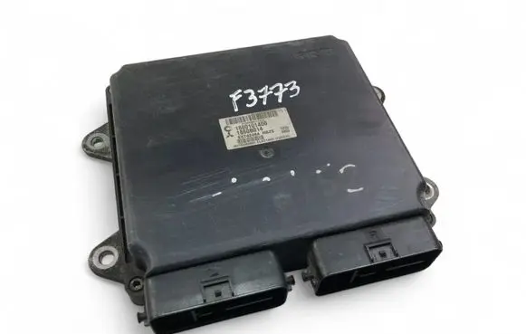 Engine control unit/module ECU